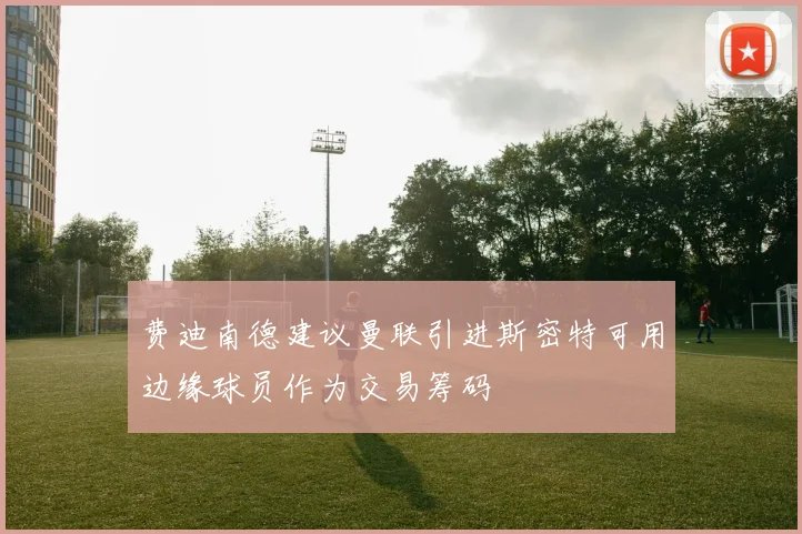 费迪南德建议曼联引进斯密特可用边缘球员作为交易筹码