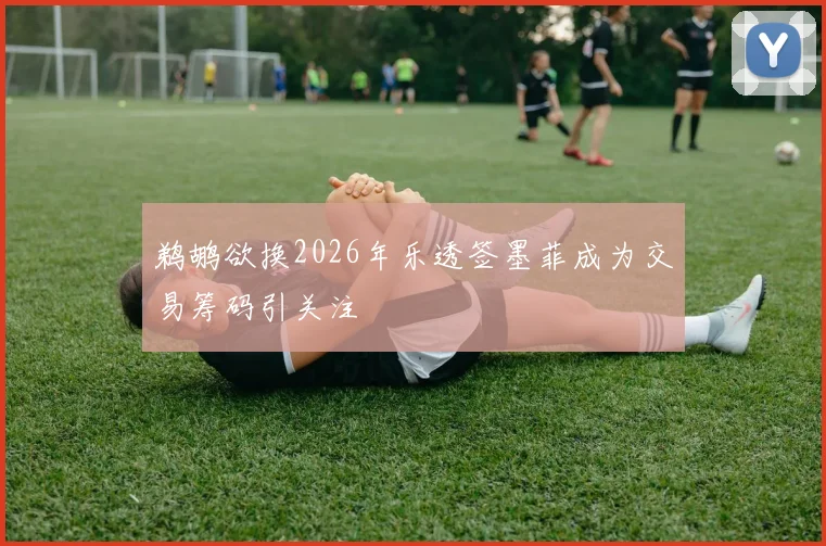 鹈鹕欲换2026年乐透签墨菲成为交易筹码引关注